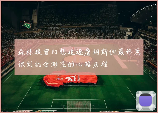森林狼曾幻想追逐詹姆斯但最终意识到机会渺茫的心路历程
