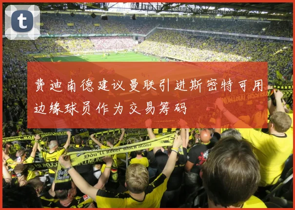 费迪南德建议曼联引进斯密特可用边缘球员作为交易筹码